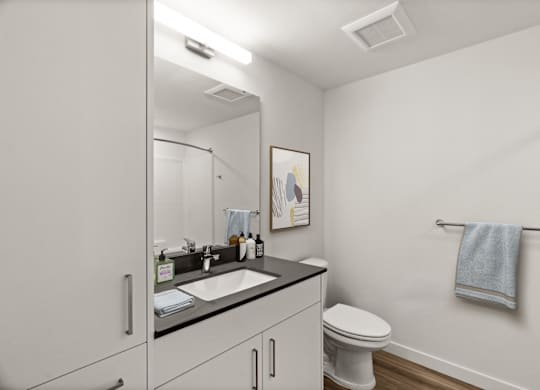 a bathroom with a sink and a toilet and a mirror at Baldwyn, Seattle, WA