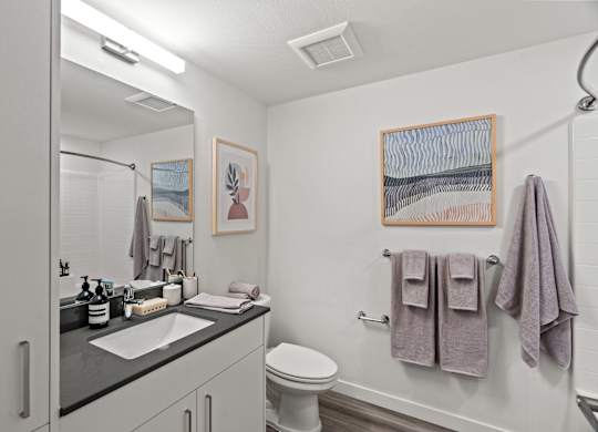 a bathroom with a sink and a toilet and a shower at Baldwyn, Washington, 98125