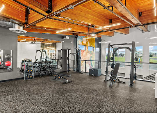 A gym with a variety of equipment including treadmills, weights, and exercise machines.