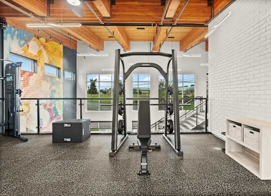 A gym with a squat rack, a weight bench and a wall with a mural.