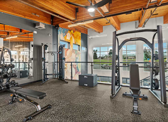 A gym with a variety of equipment including a bench press, a squat rack, and a barbell.