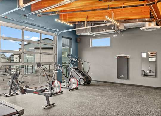 A gym with a row of exercise bikes and a treadmill.
