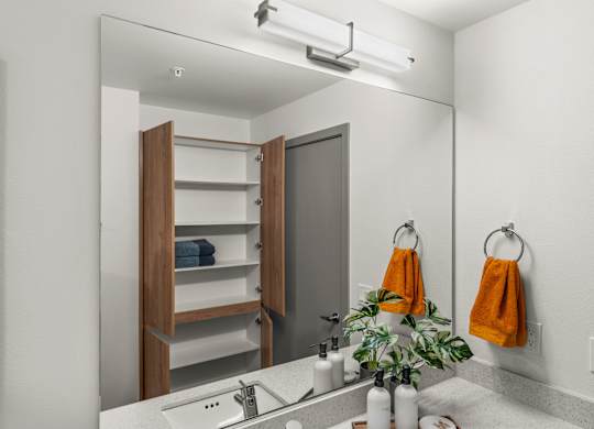 a bathroom with a sink and a mirror and a closet at Gage On Sixth, Tacoma, WA 98406