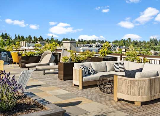 a roof top patio with couches and chairs and plants at Baldwyn, Seattle, WA 98125