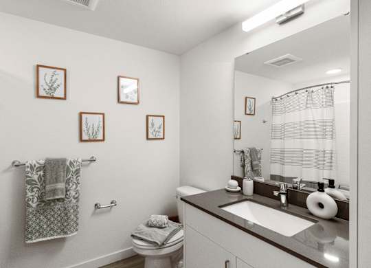 a bathroom with a large mirror and a sink and a toilet at Baldwyn, Seattle, WA