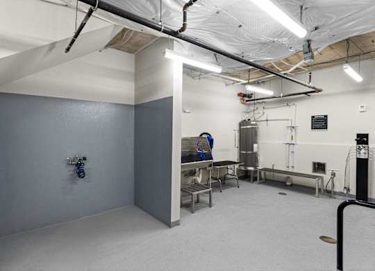 a large room with a gray wall and a surgery room in the back at Baldwyn, Seattle, 98125