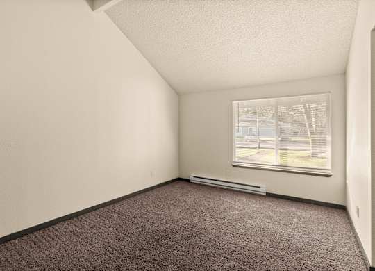 Empty room with carpeted floor and a window showing an outdoor view.