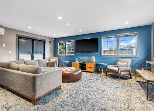 A living room with a grey sofa and a blue carpet.