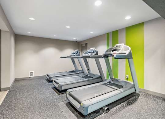 A row of treadmills are lined up in a gym.