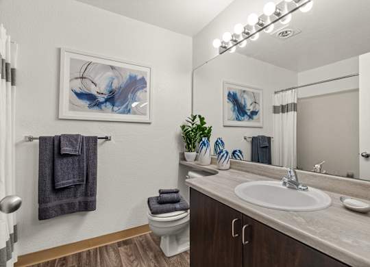 A bathroom with a toilet, sink, mirror, and a plant.