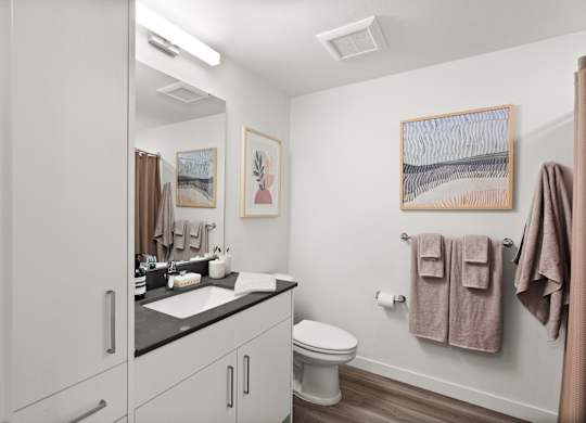 a bathroom with a sink and a toilet and a mirror