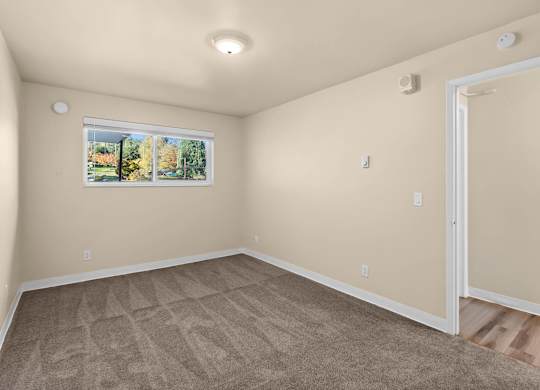 A room with a carpeted floor and a window showing trees outside.