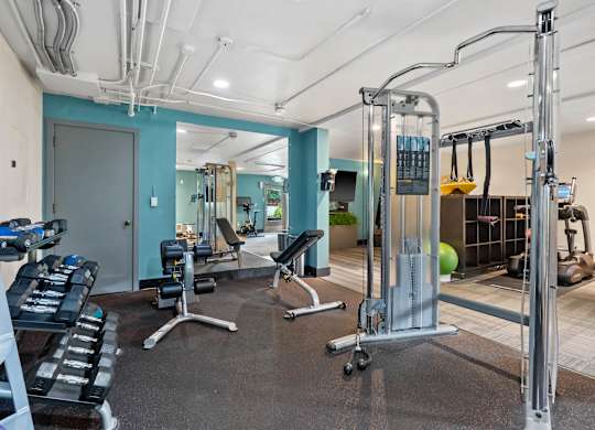 A gym with a variety of equipment including a squat rack, bench, and weights.
