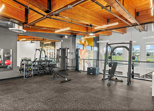 A gym with a variety of equipment including treadmills, weights, and exercise machines.