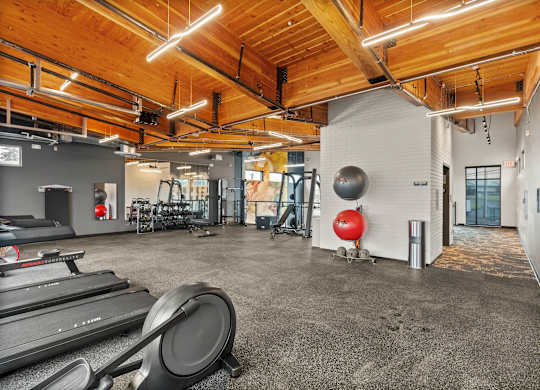 A gym with treadmills, weights, and exercise equipment.
