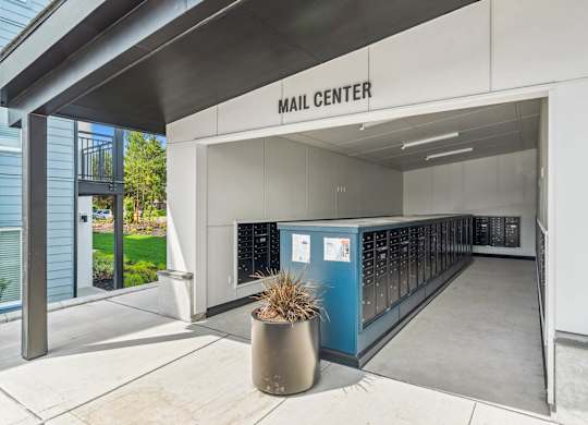 A mail center with a blue mailbox and a plant in a pot.