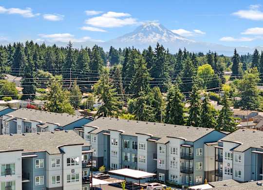 A large group of houses are in the foreground with a mountain in the background.