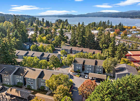 A bird's eye view of a residential area with houses surrounded by trees.