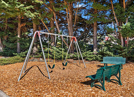 A swing set with a green bench in front of a tree.