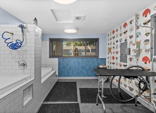 A bathroom with a white tub and a blue wall.
