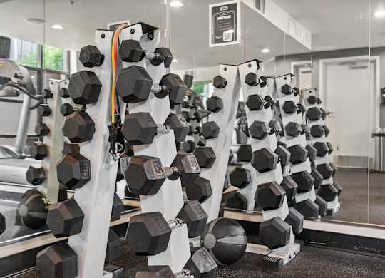 A gym with a rack of dumbbells and a mirror.