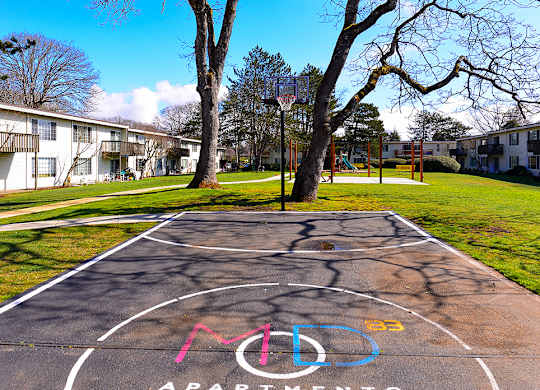 Lakewood Apartments - MOD 83 Apartments - Basketball