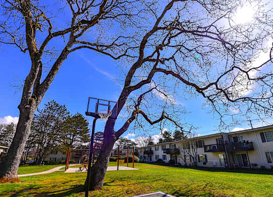 Lakewood Apartments - MOD 83 Apartments - Exterior