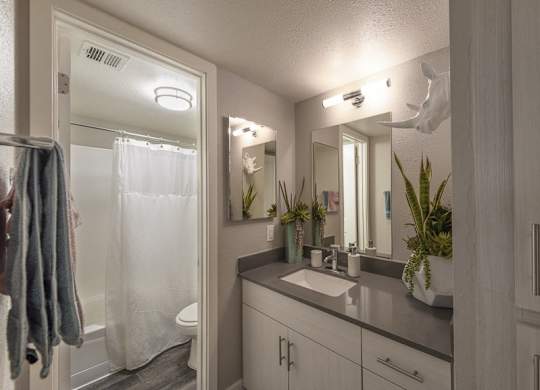 A bathroom with a white sink and a mirror.