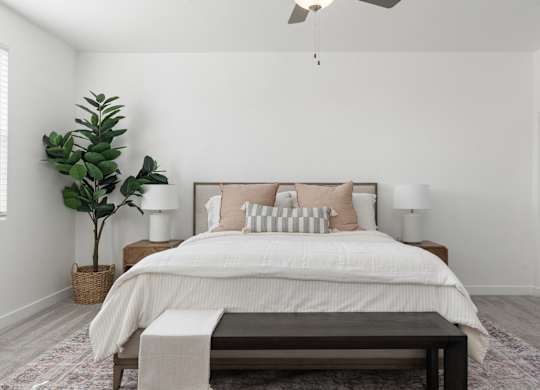A bedroom with a large bed, a plant, and a ceiling fan.