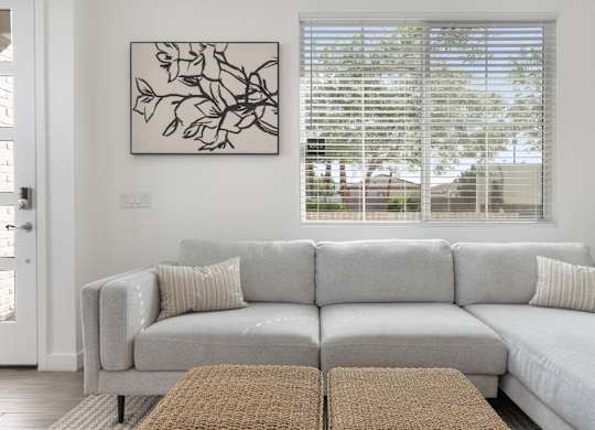 A grey couch with a brown rug in front of it.