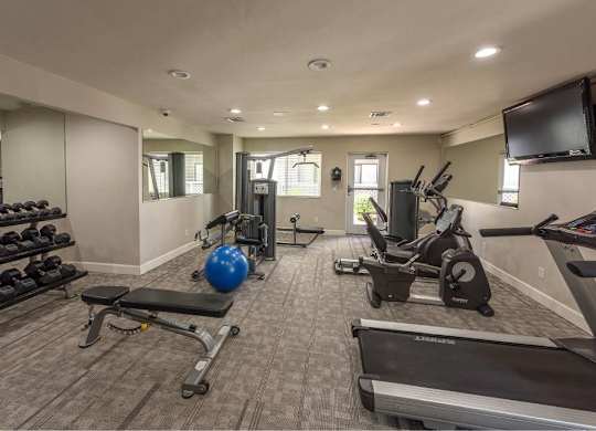 A gym with a variety of equipment including a treadmill, weights, and a bench press.