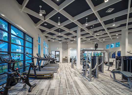 A gym with treadmills, weights, and exercise equipment.