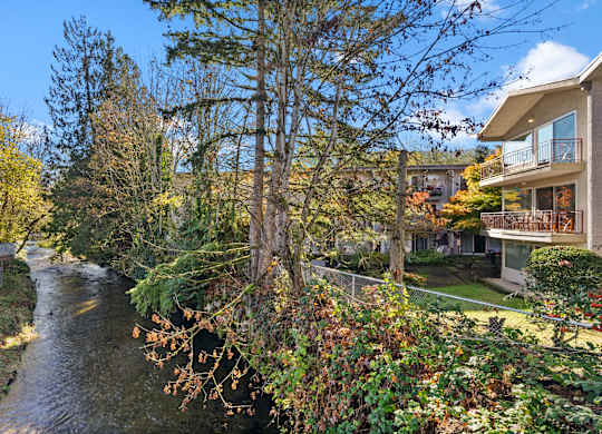 a river running between two houses next to a tree