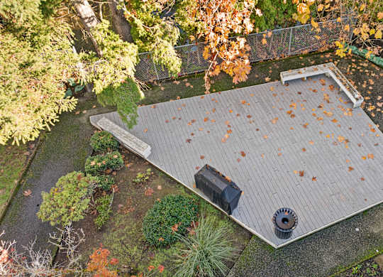 an aerial view of a roof with leaves on it
