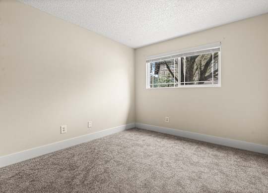 A room with a window and carpeted floor.