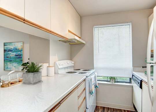 A kitchen with white appliances and a white counter top.