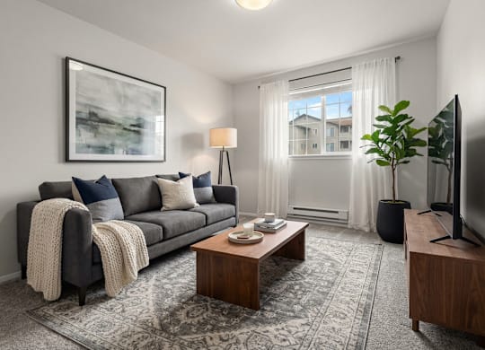 A living room with a grey couch, a coffee table, a flat screen TV, and a large window with white curtains.