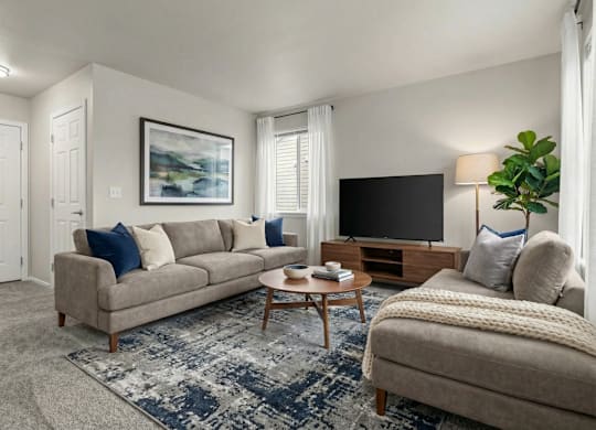 A living room with a grey couch, a coffee table, a television, and a plant.