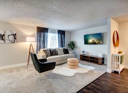Lakewood Apartments - MOD 83 Apartments - Living Room 1