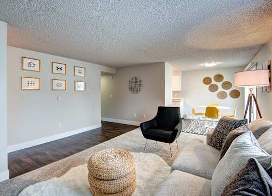 Lakewood Apartments - MOD 83 Apartments - Living Room 2