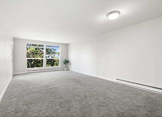 A room with a grey carpet and a window showing trees outside.