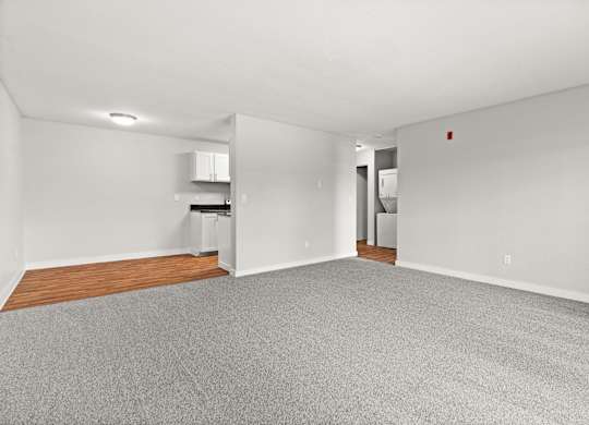 A spacious room with a grey carpet and white walls.