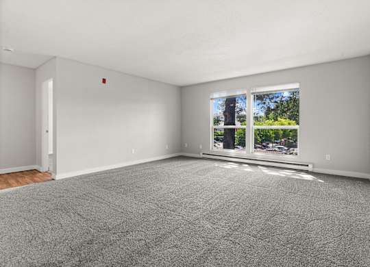A room with a grey carpet and a window showing a tree and a building outside.