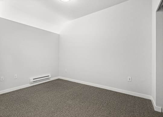 A room with carpeted floor and a window with curtains.
