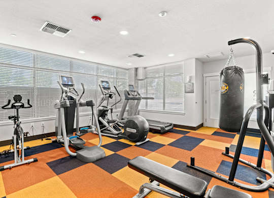 A gym with a variety of equipment including treadmills, weights, and a punching bag.