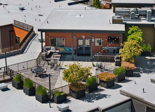 A rooftop patio with a table and chairs surrounded by potted plants.