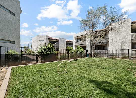 A grassy area with a ring in the middle of it.