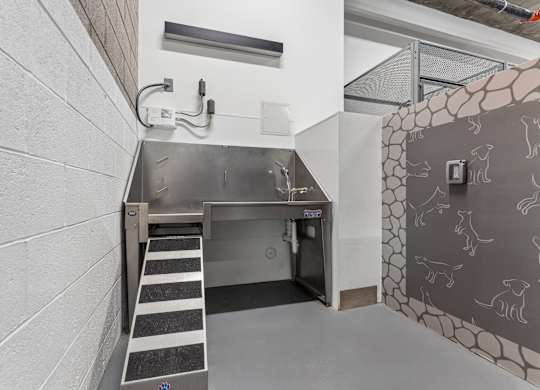 A stairway with a metal railing and a wall with a mural of moose on it.