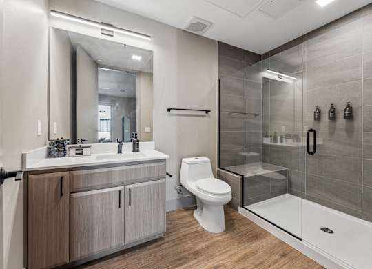 A modern bathroom with a walk-in shower and a toilet.