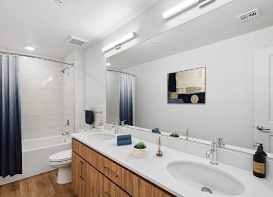 A bathroom with a white countertop and a white sink.